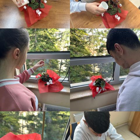 Our students met the water needs of the cyclamen flower, which came to our classroom as a gift.