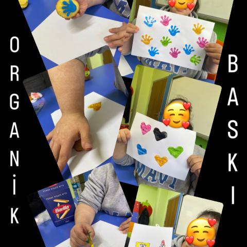 Organik Baskı Organik Baskı