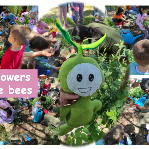 plant_flowers_for_the_bees.png