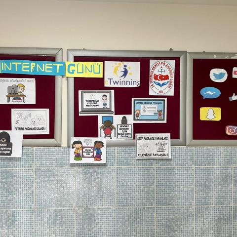 e safety board