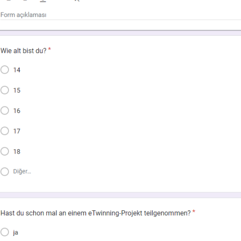 Schüler Vorfragebogen