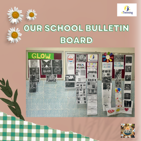OUR SCHOOL BULLETIN BOARDS