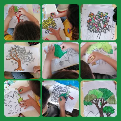 Amine Onur Kılınç Çağlayan Primary School Manavgat Antalya TÜRKİYE Amine Onur Kılınç Çağlayan Primary School Manavgat Antalya TÜRKİYE