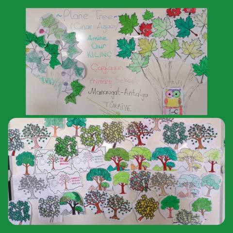Amine Onur Kılınç Çağlayan Primary School Manavgat Antalya TÜRKİYE Amine Onur Kılınç Çağlayan Primary School Manavgat Antalya