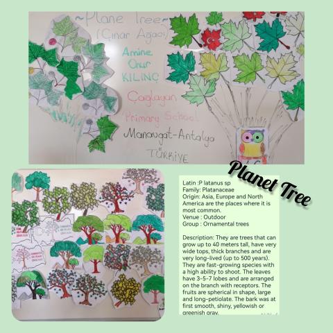 Amine Onur Kılınç Çağlayan Primary School Manavgat Antalya TÜRKİYE Amine Onur Kılınç Çağlayan Primary School Manavgat Antalya TÜRKİYE