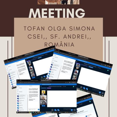 TOFAN OLGA SIMONA- CSEI ,,SF. ANDREI,, GURA HUMORULUI, ROMÂNIA