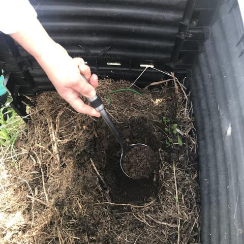 EBI da Praia da Vitória - Terceira island - Azores, PORTUGAL We went to put the seeds in space at school-