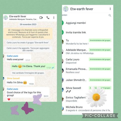 Our whatsapp group