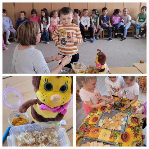 Bee honey tasting Bee honey tasting