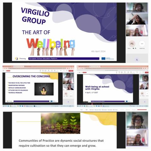 Wellbeing at school webinar Wellbeing at school webinar