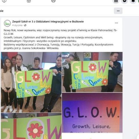 WE show our project on school facebook Dissemination