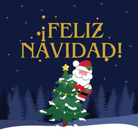 Brigida De Gennaro Liceo Imbriani P.E., Avellino feliz navidad