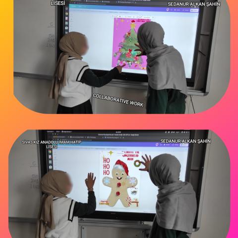 Sedanur ALKAN ŞAHİN /SİVAS KIZ ANADOLU İMAM HATİP LİSESİ New Year Colloboration