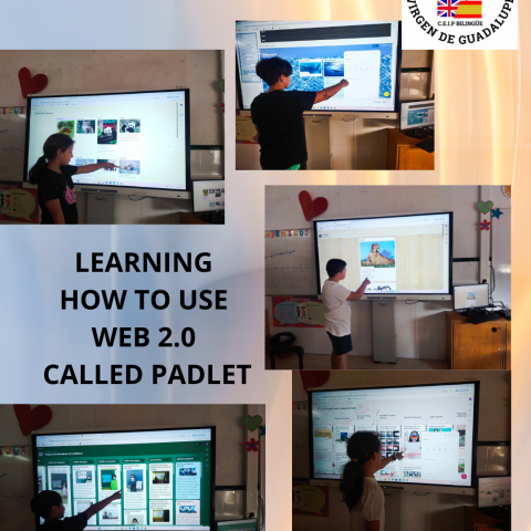 PADLET