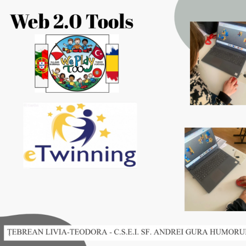 TEBREAN LIVIA-TEODORA CSEI SF. ANDREI GURA HUMORULUI ROMÂNIA Web 2.0 Tools