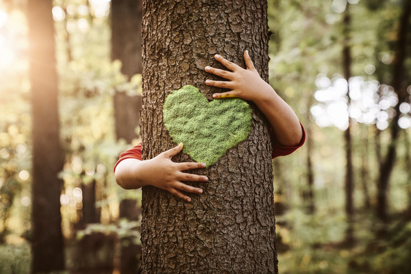 Hugging tree